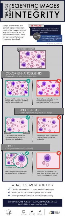 Tips for Presenting Scientific Images with Integrity