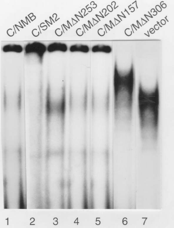 Background - Photograph Background - Photograph