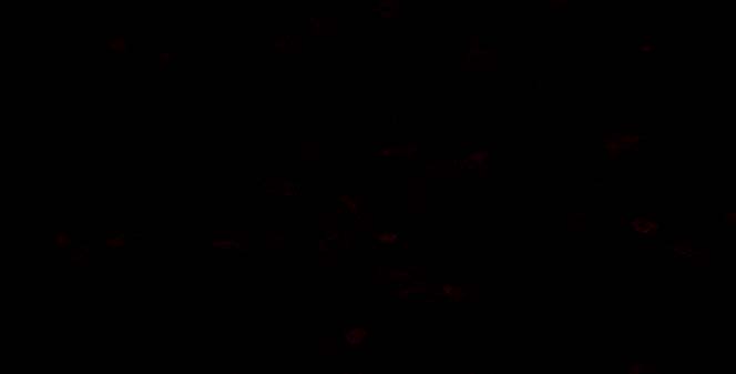 Dark Areas - Grant Figure Dark Areas - Grant Figure