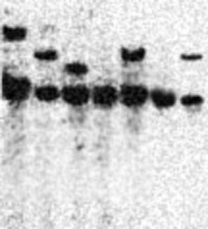 Powerpoint slide vs data - data Powerpoint slide vs data - data