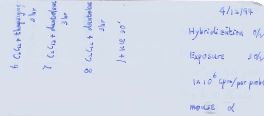 Erasures - Film Erasures - Film