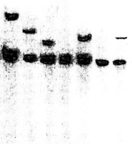 Powerpoint slide vs data - slide Powerpoint slide vs data - slide