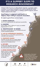 thumbnail image for Slippery Slope to Research Misconduct PDF