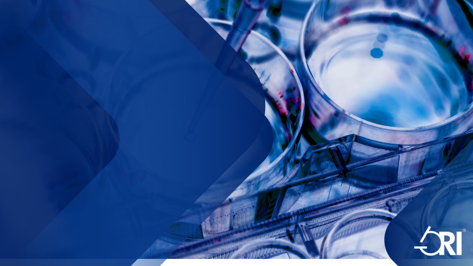 banner showing Co-sponsorship Opportunities