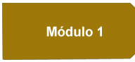 Módulo 1 Módulo 1
