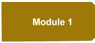 Module 1 Module 1