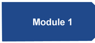 Module 1 Module 1