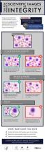 Tips for Presenting Scientific Images with Integrity